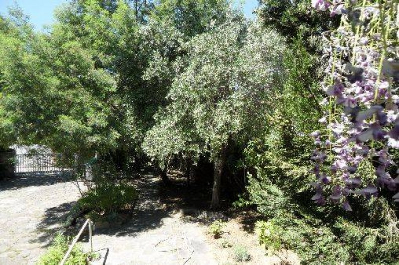 Location de vacances - Villa à Cavalaire-sur-Mer