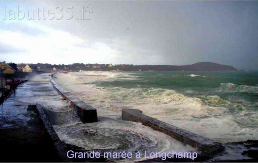 Location de vacances - Gîte à Saint-Lunaire - Plage de Longchamp aux grandes marées à 2,5 Km