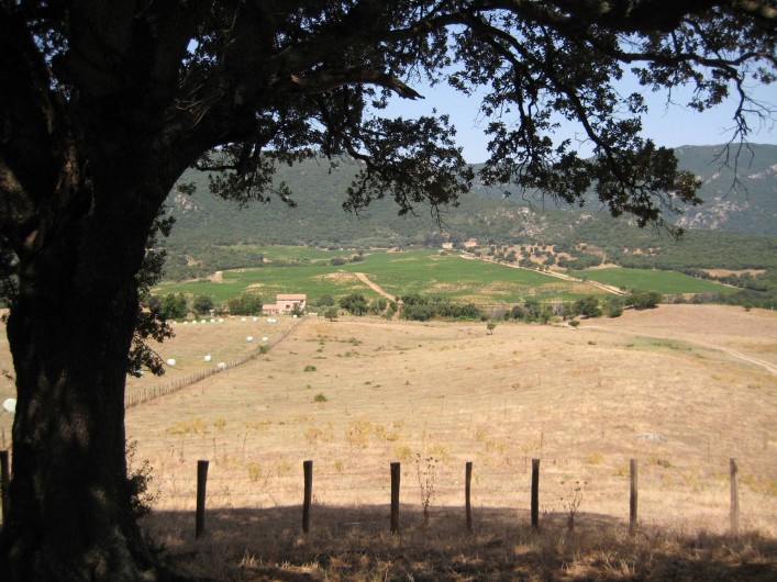 Location de vacances - Appartement à Sartène - Vue sur la vallée
