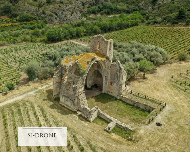Location de vacances - Villa à Portel-des-Corbières - vue de l'église parmi les vignes