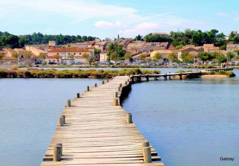 Location de vacances - Villa à Portel-des-Corbières - étang à 5mn du village ou vivent des flamands tout l'année