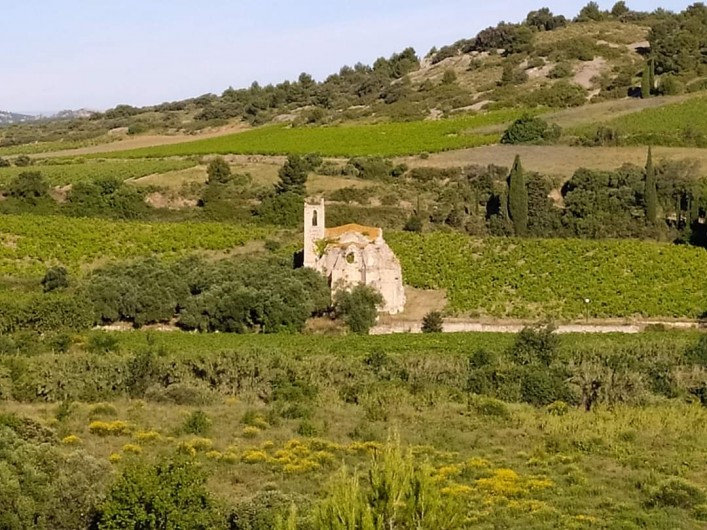 Location de vacances - Villa à Portel-des-Corbières - ruine d'une église du village parmi les vignes