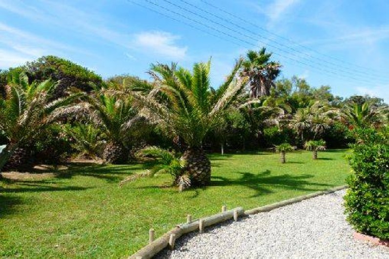 Location de vacances - Studio à Hyères