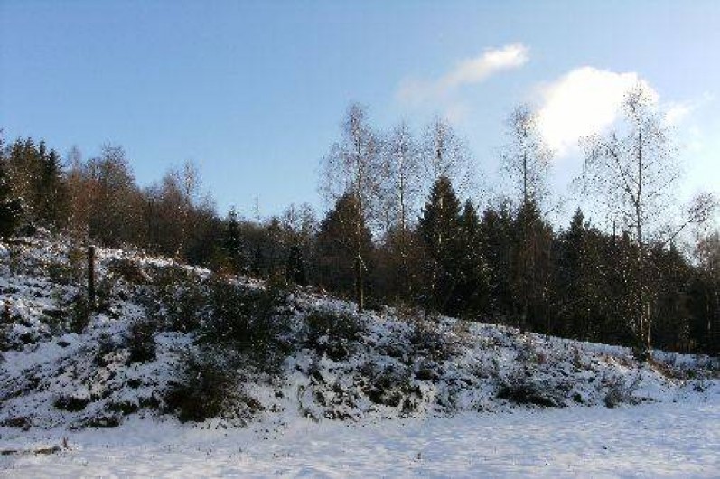 Location de vacances - Chalet à Ramonchamp