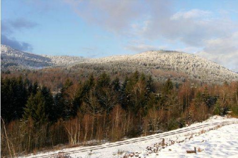 Location de vacances - Chalet à Ramonchamp