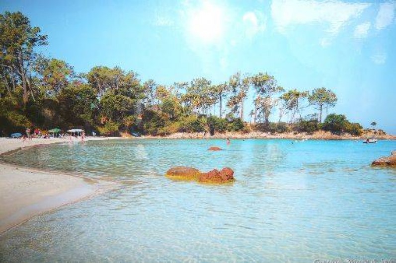 Location de vacances - Villa à Coti-Chiavari