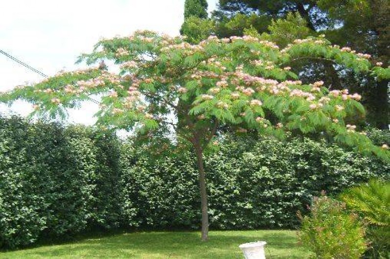 Location de vacances - Villa à Saint-Raphaël