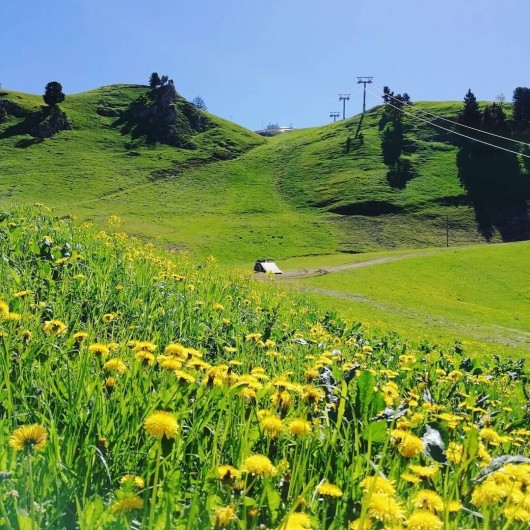 Location de vacances - Appartement à Chamrousse - VALLÉE