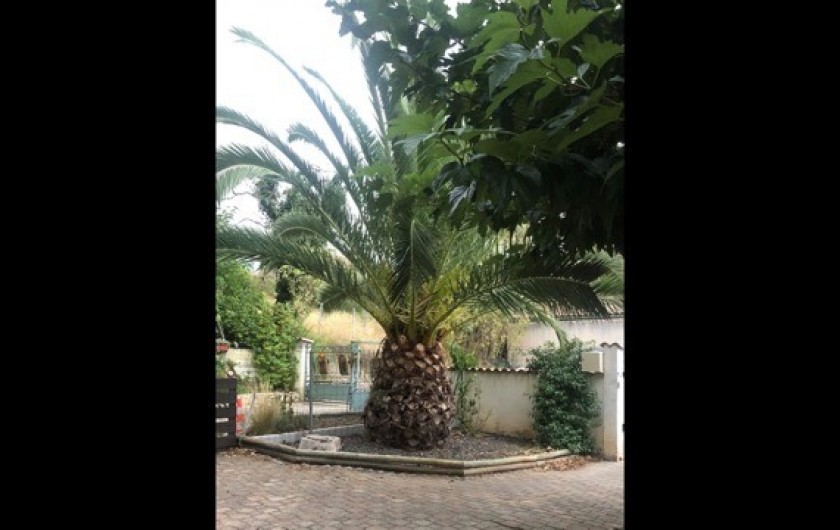 Location de vacances - Appartement à Castelnau-de-Guers