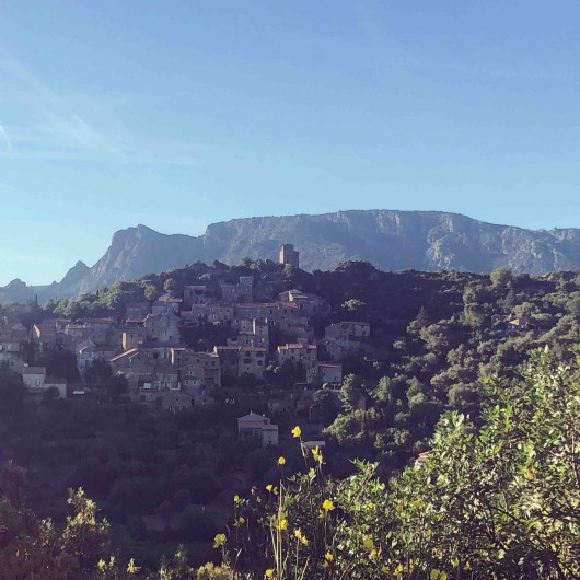 Location de vacances - Maison - Villa à Berlou