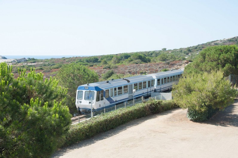 Location de vacances - Appartement à Lumio - Train