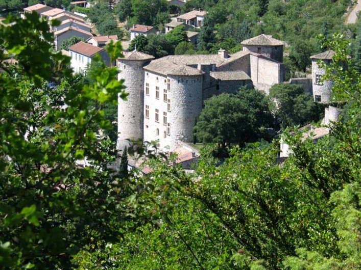 Location de vacances - Gîte à Vogüé - Le Château de VOGÜÉ