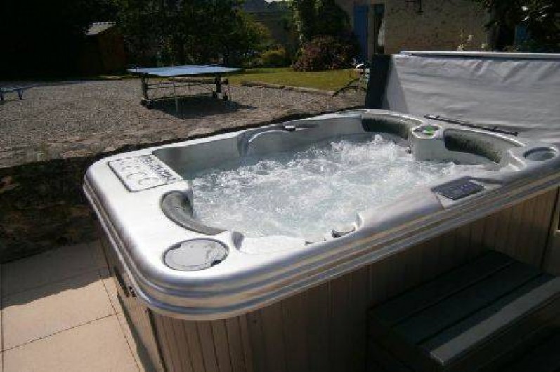 Location de vacances - Gîte à Mareuil-sur-Lay-Dissais - Spa-jacuzzi