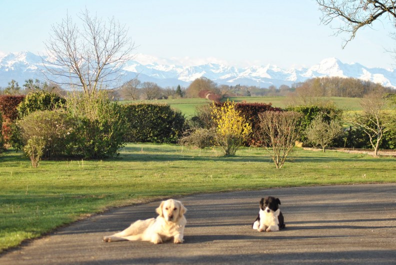 Location de vacances - Gîte à Duffort - Vue depuis la terrasse vers la pelouse