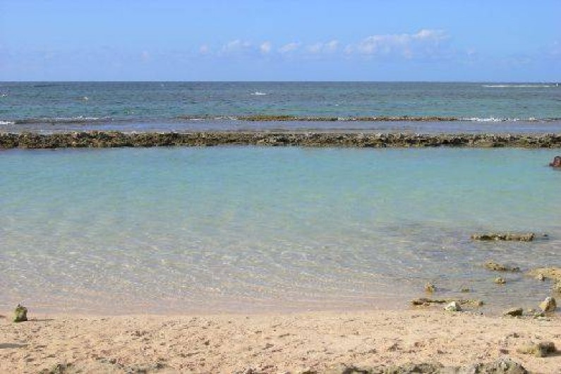 Location de vacances - Bungalow - Mobilhome à Le Moule