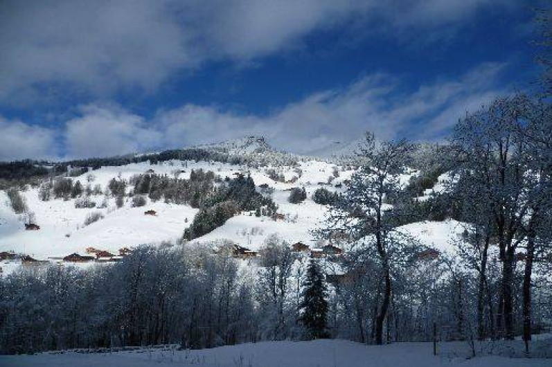 Location de vacances - Appartement à Le Grand-Bornand