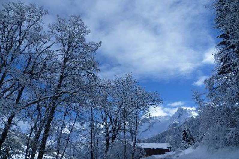 Location de vacances - Appartement à Le Grand-Bornand