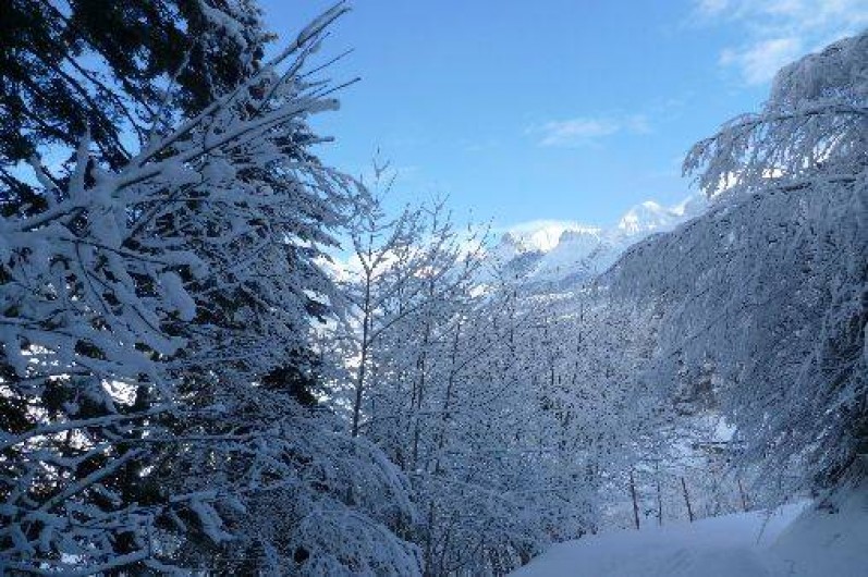 Location de vacances - Appartement à Le Grand-Bornand
