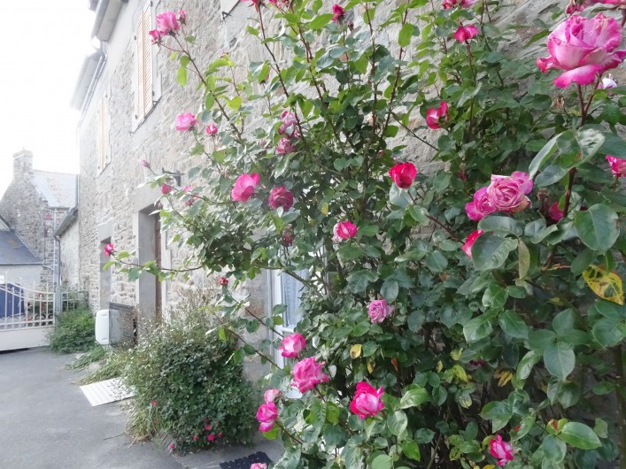 Location de vacances - Villa à Hirel