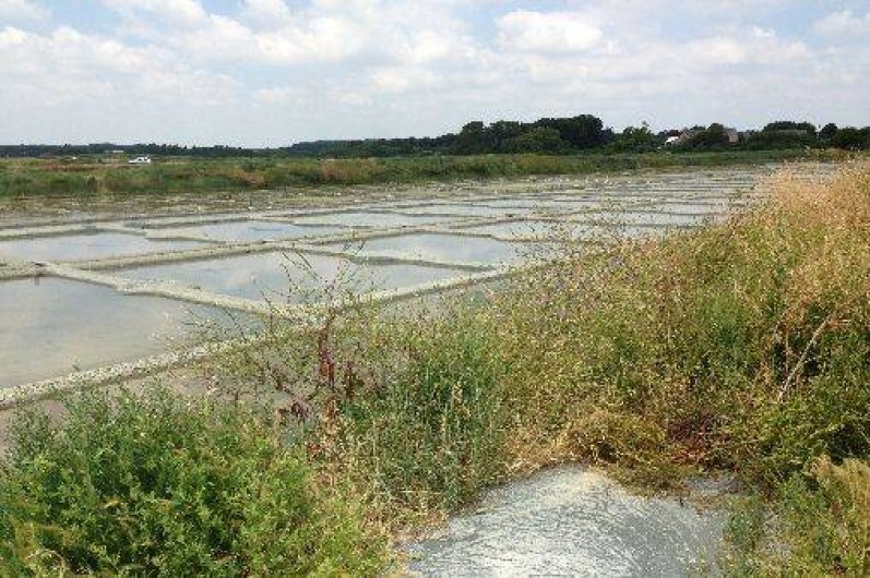 Location de vacances - Chambre d'hôtes à Saint-Molf
