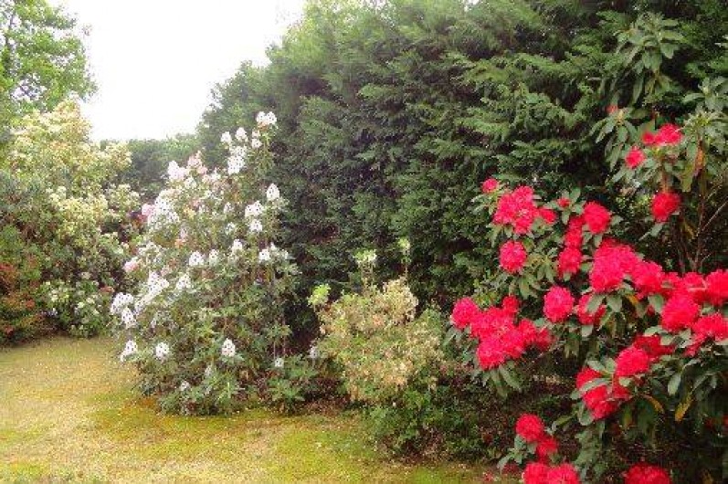 Location de vacances - Villa à Vielle-Saint-Girons
