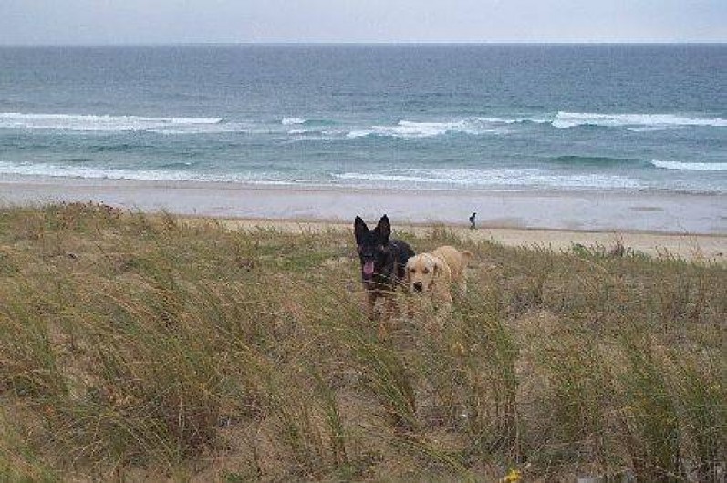 Location de vacances - Villa à Vielle-Saint-Girons