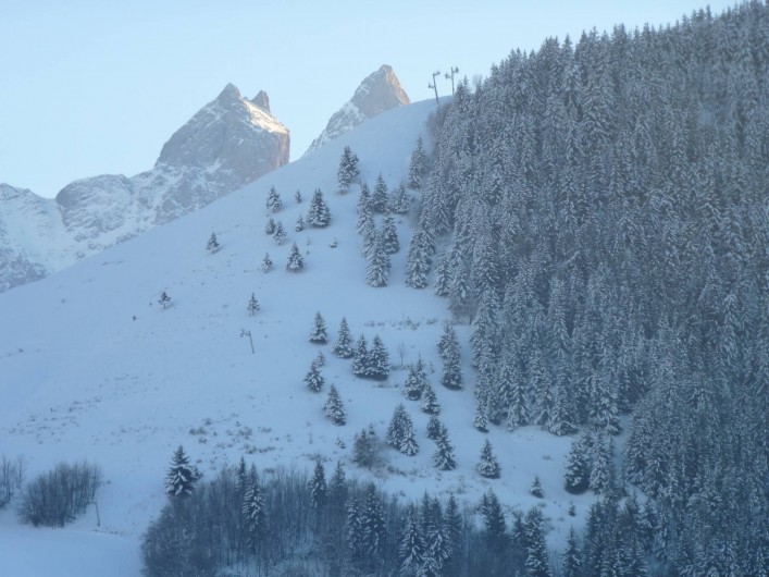 Location de vacances - Chalet à Albiez-Montrond