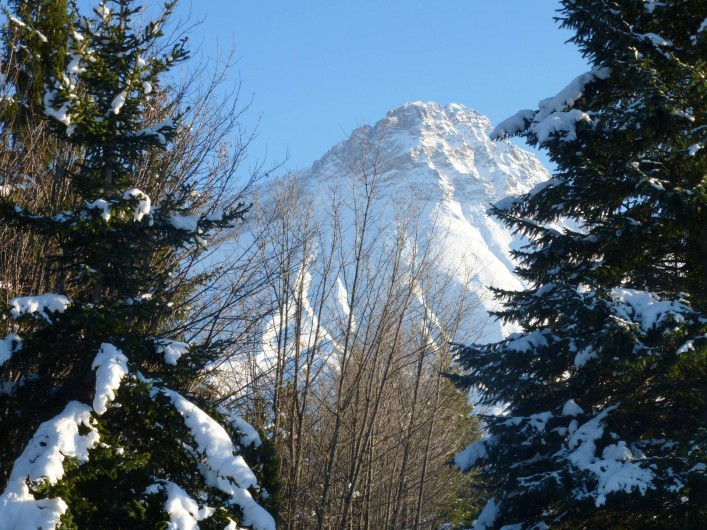 Location de vacances - Chalet à Albiez-Montrond