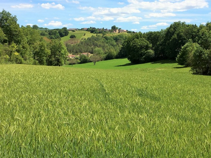 Location de vacances - Chambre d'hôtes à Auriac-du-Périgord - Le terrain