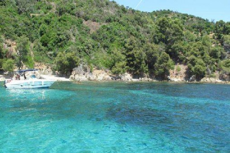 Location de vacances - Camping à Cogolin