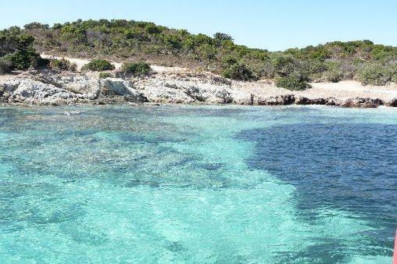 Location de vacances - Maison - Villa à Vescovato