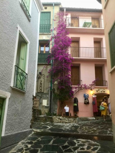 Location de vacances - Appartement à Collioure