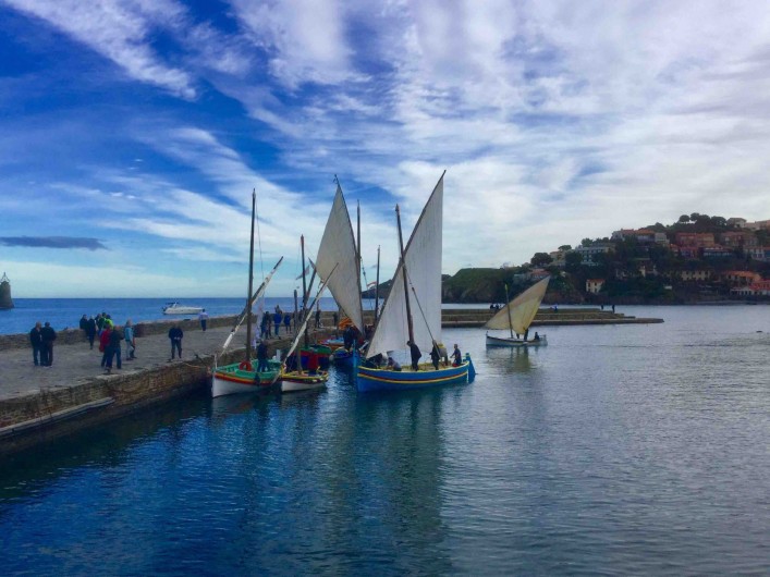 Location de vacances - Appartement à Collioure