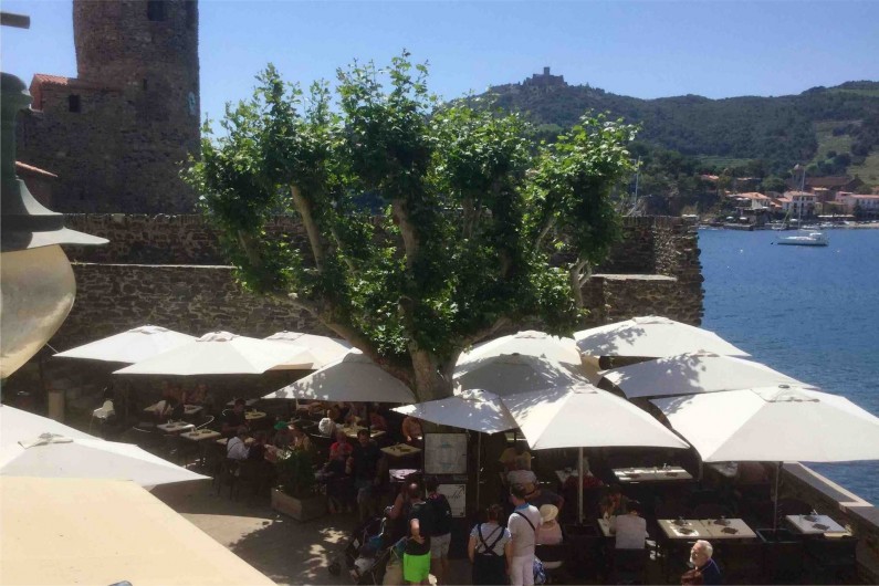 Location de vacances - Appartement à Collioure