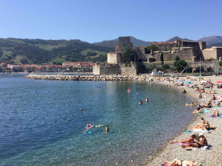 Location de vacances - Appartement à Collioure