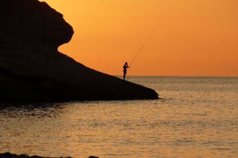 Location de vacances - Camping à Patrimonio