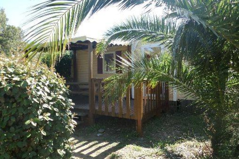 Location de vacances - Camping à Patrimonio