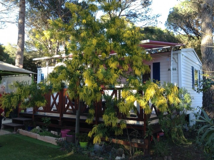 Location de vacances - Bungalow - Mobilhome à Puget-sur-Argens