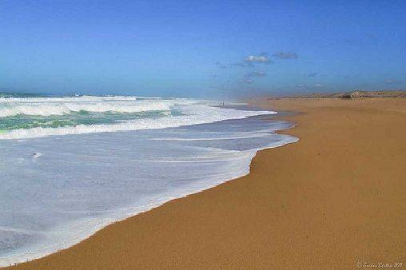 Location de vacances - Chambre d'hôtes à Saint-André-de-Seignanx