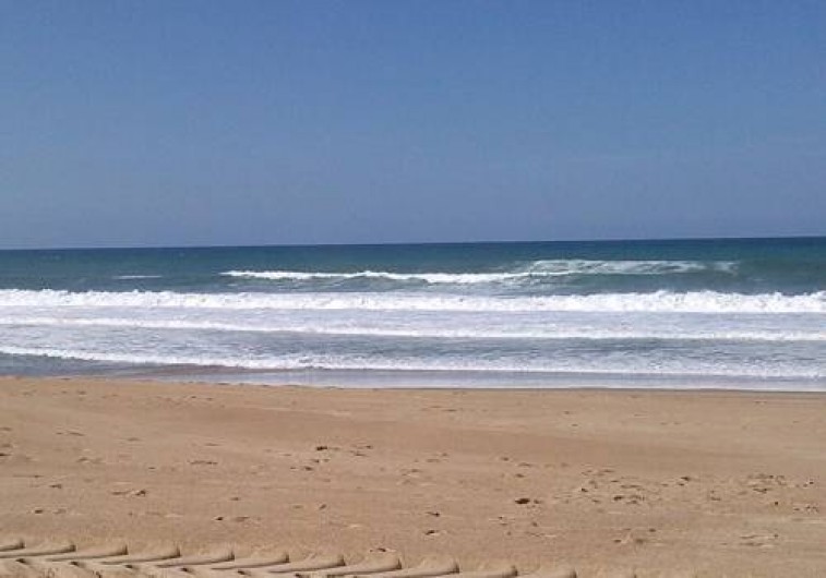 Location de vacances - Chambre d'hôtes à Saint-André-de-Seignanx