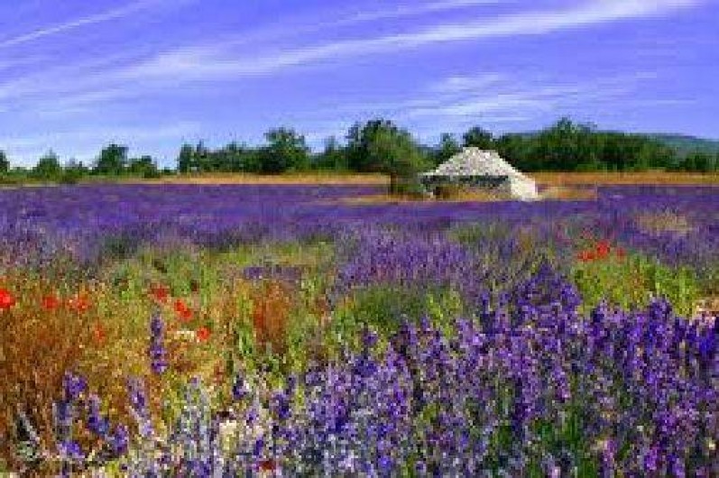 Location de vacances - Villa à Sault