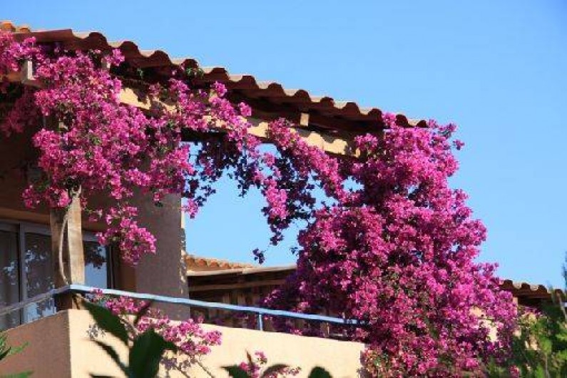 Location de vacances - Appartement à L'Île-Rousse