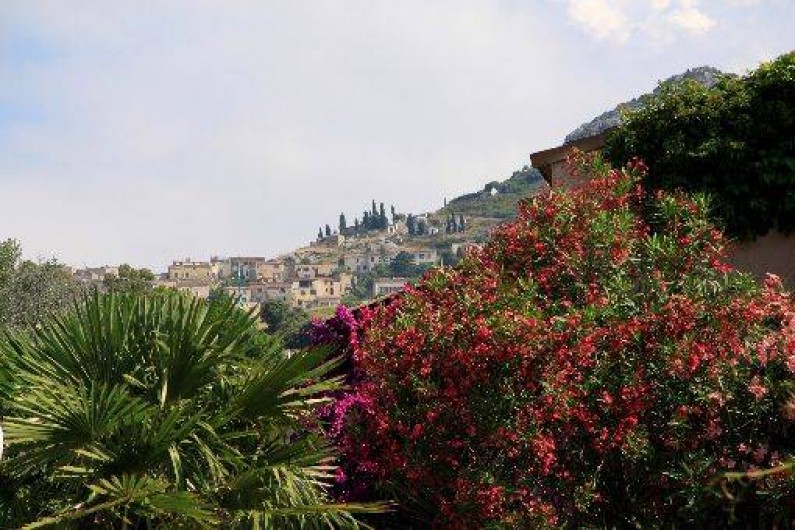 Location de vacances - Appartement à L'Île-Rousse