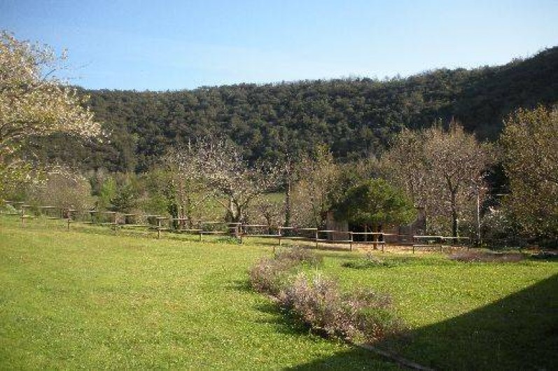 Location de vacances - Appartement à Arles-sur-Tech