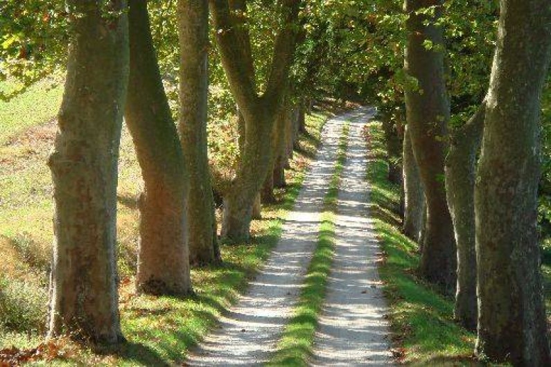 Location de vacances - Gîte à Puylaurens