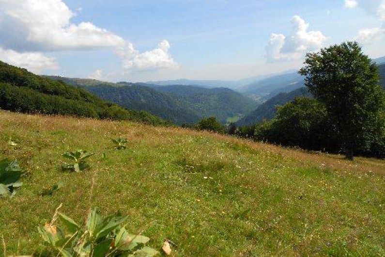 Location de vacances - Chalet à Saint-Maurice-sur-Moselle