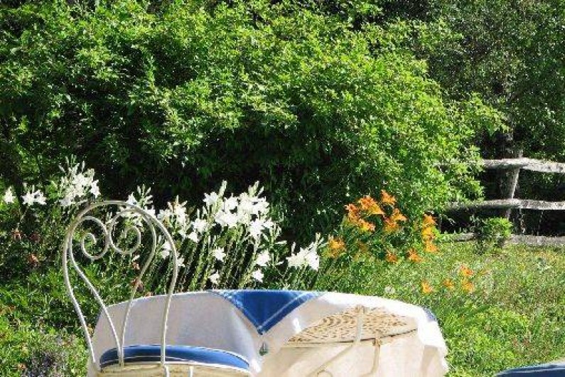 Location de vacances - Chambre d'hôtes à Velluire - Côté jardin