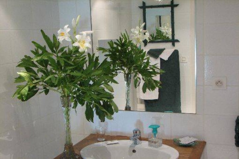 Location de vacances - Chambre d'hôtes à Velluire - Salle d'eau chambre Marais