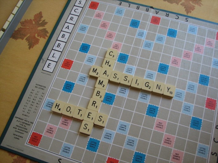 Location de vacances - Chambre d'hôtes à Velluire - Jeux de société Le Petit Massigny