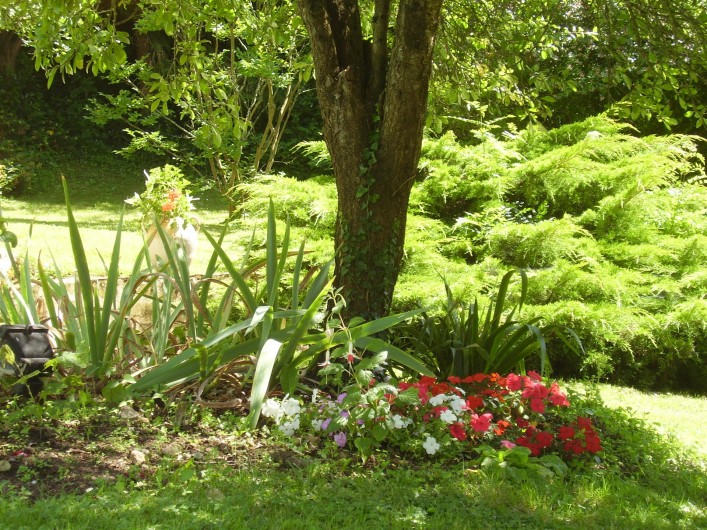 Location de vacances - Chambre d'hôtes à Velluire - Jardin fleuri